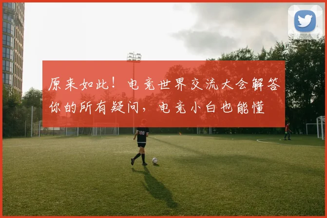 原来如此!电竞世界交流大会解答你的所有疑问,电竞小白也能懂